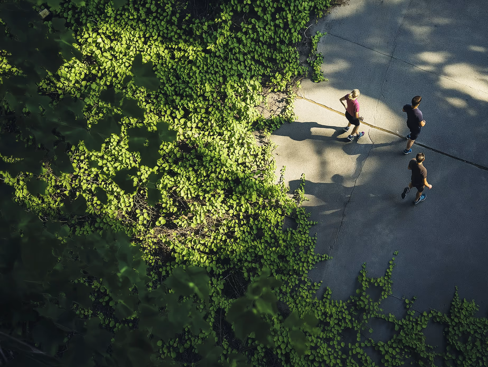 real estate neighbourhood1